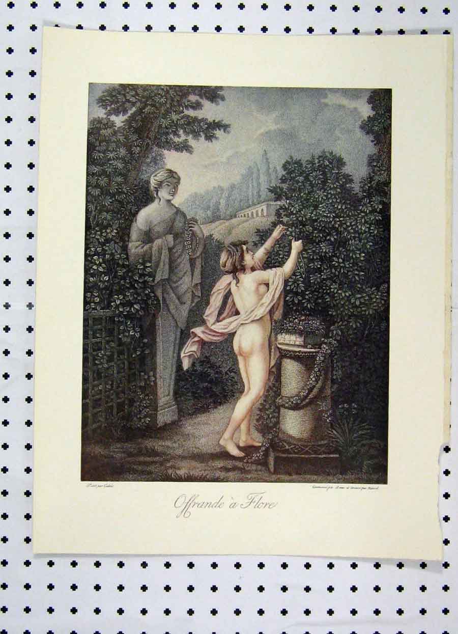 Original Old Antique Print 1905 Colour Statue Naked Woman Picking Flowers 20th