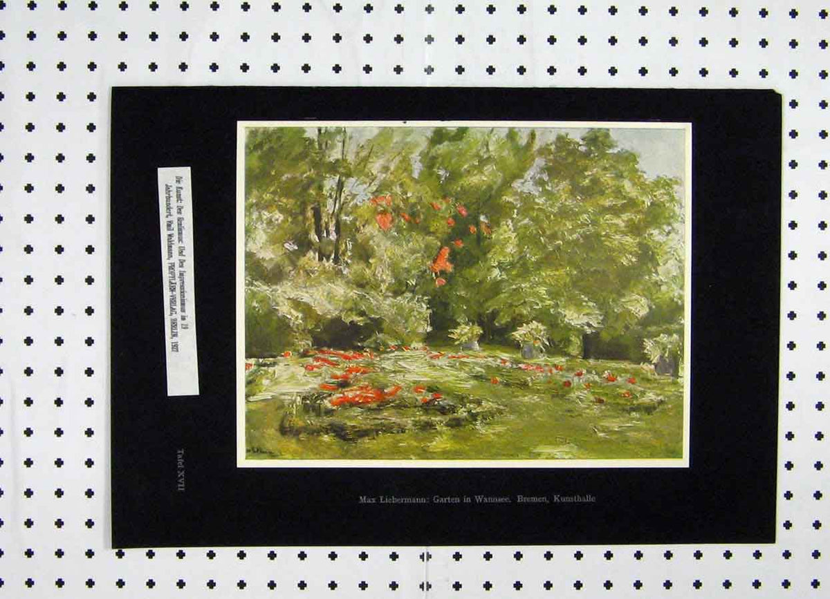 Original Old Vintage Print Colour Belgium 1927 Flowers Trees Garden 20th