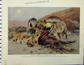 Original Old Vintage Print 1926 Striped Hyaenis Jackals Banded Mungoose 20th