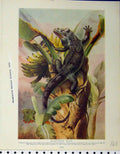 Old Antique Print 1910 Black-Tailed Iguana Water-Monitors Natural History 20th