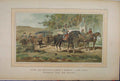 Original Old Antique Print 1885 Colour Horses Carriage Albert Isabelle Trees