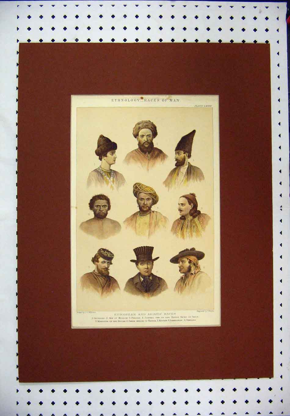 Original Old Antique Print Ethnology Races Men Portraits Jew Mahratta Spaniard