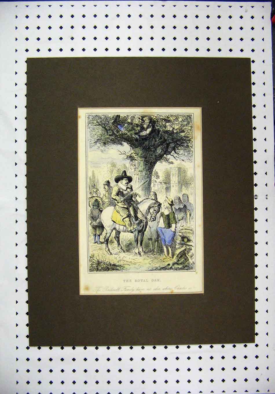 Original Old Antique Print Leech C1860 Colour Royal Oak Tree Horse Penderell