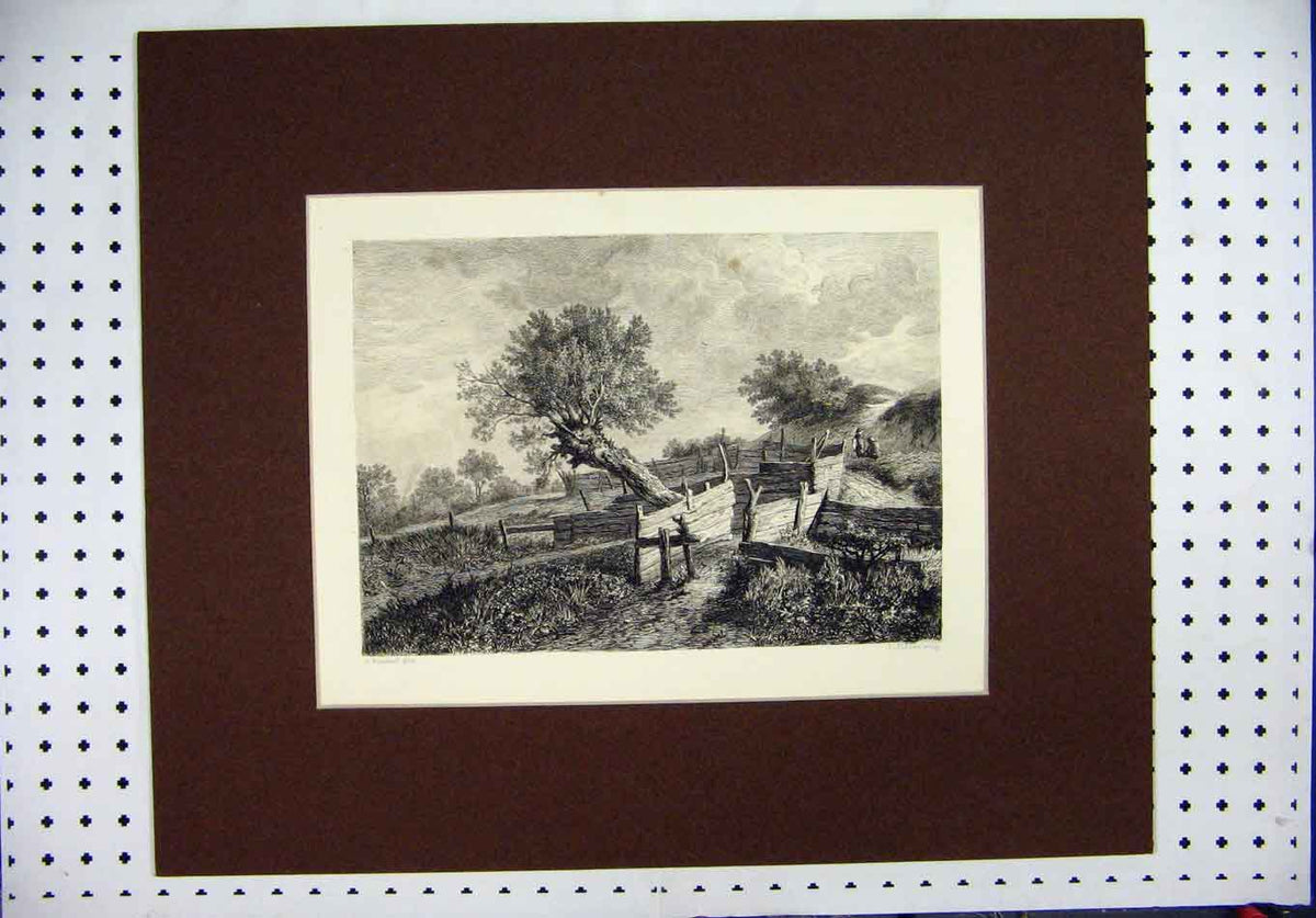 Original Old Antique Print C1880 Country Scene Trees Fences Fischer Victorian