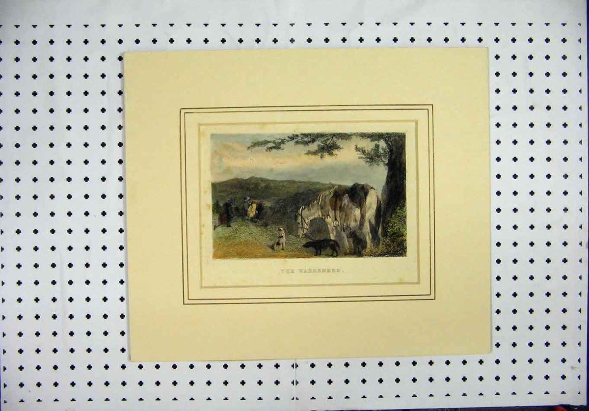 Original Old Antique Print C1850 Mounted Country Scene Men Horse Dogs Victorian