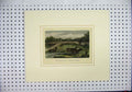Original Old Antique Print Colour C1855 Deer Paddocks Windsor Forest Trees 19th