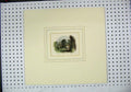 Original Old Antique Print 1860 Hand Coloured Garden Scene Wall Trees Frame