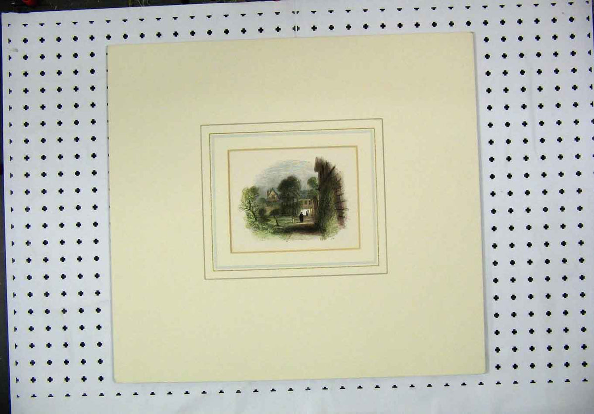Original Old Antique Print 1860 Hand Coloured Garden Scene Wall Trees Frame