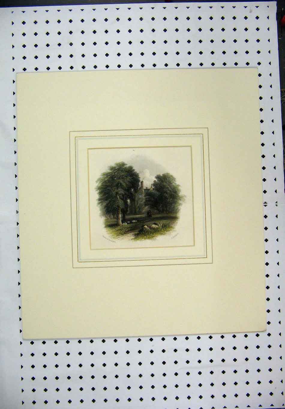 Original Old Antique Print C1860 Hand Coloured Country House Garden Scene 19th