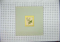 Original Old Antique Print C1840 Hand Coloured Mounted Green White Flower 19th