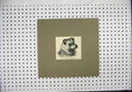 Original Old Antique Print C1844 Engraving Head Scotch Terrier Dog Portrait