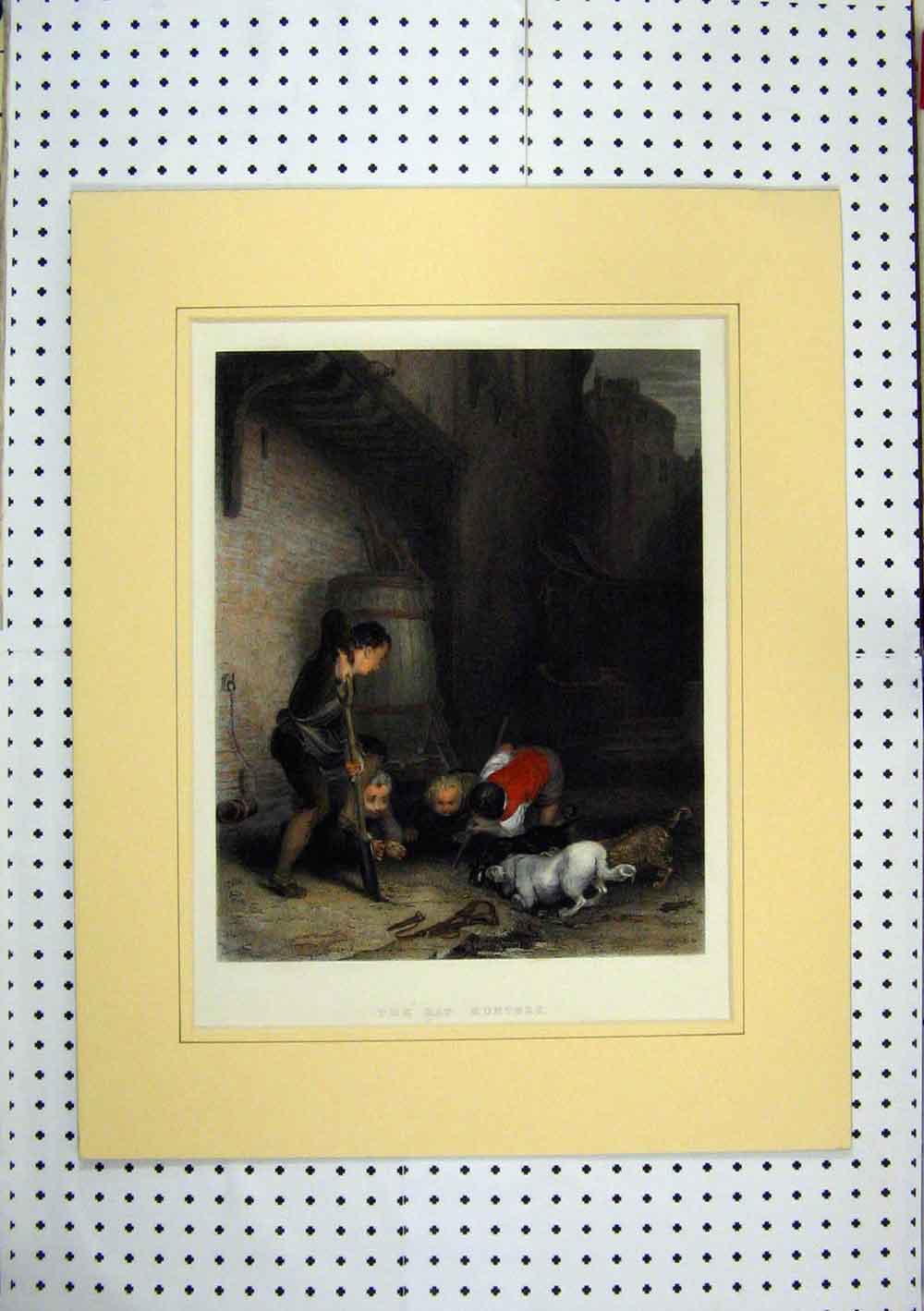 Original Old Antique Print C1860 Coloured Rat Hunters Children Dogs Street 19th