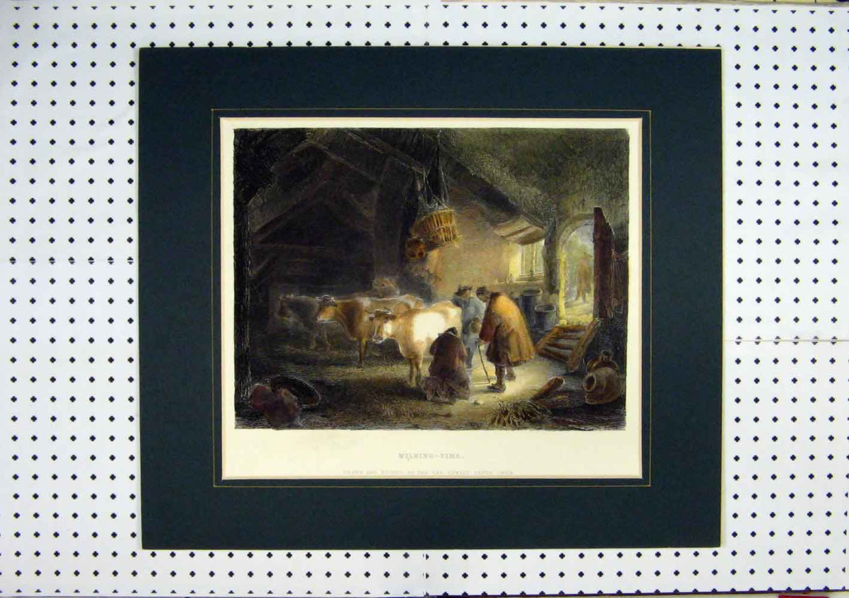 Original Old Antique Print C1860 Hand Coloured Milking Cows Barn Pryce Owen