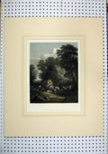 Original Old Antique Print 1850 Hand Coloured Market Cart Horse Farmer Country