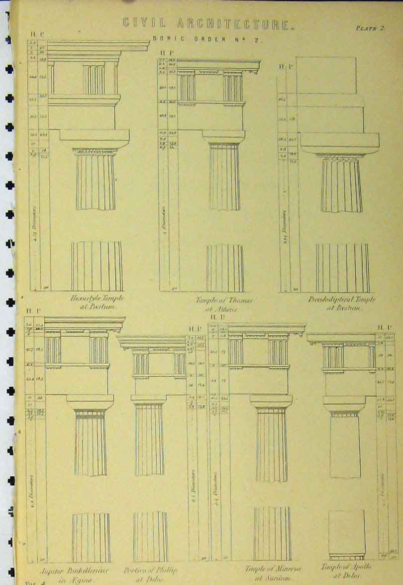 Original Old Antique Print Civil Architecture C1890 Doric Order Temple Apollo
