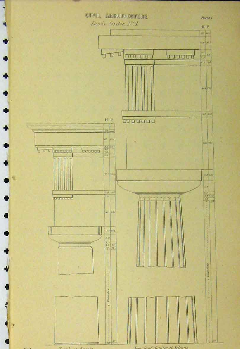 Original Old Antique Print C1890 Civil Architecture Doric Order Temple Selinus