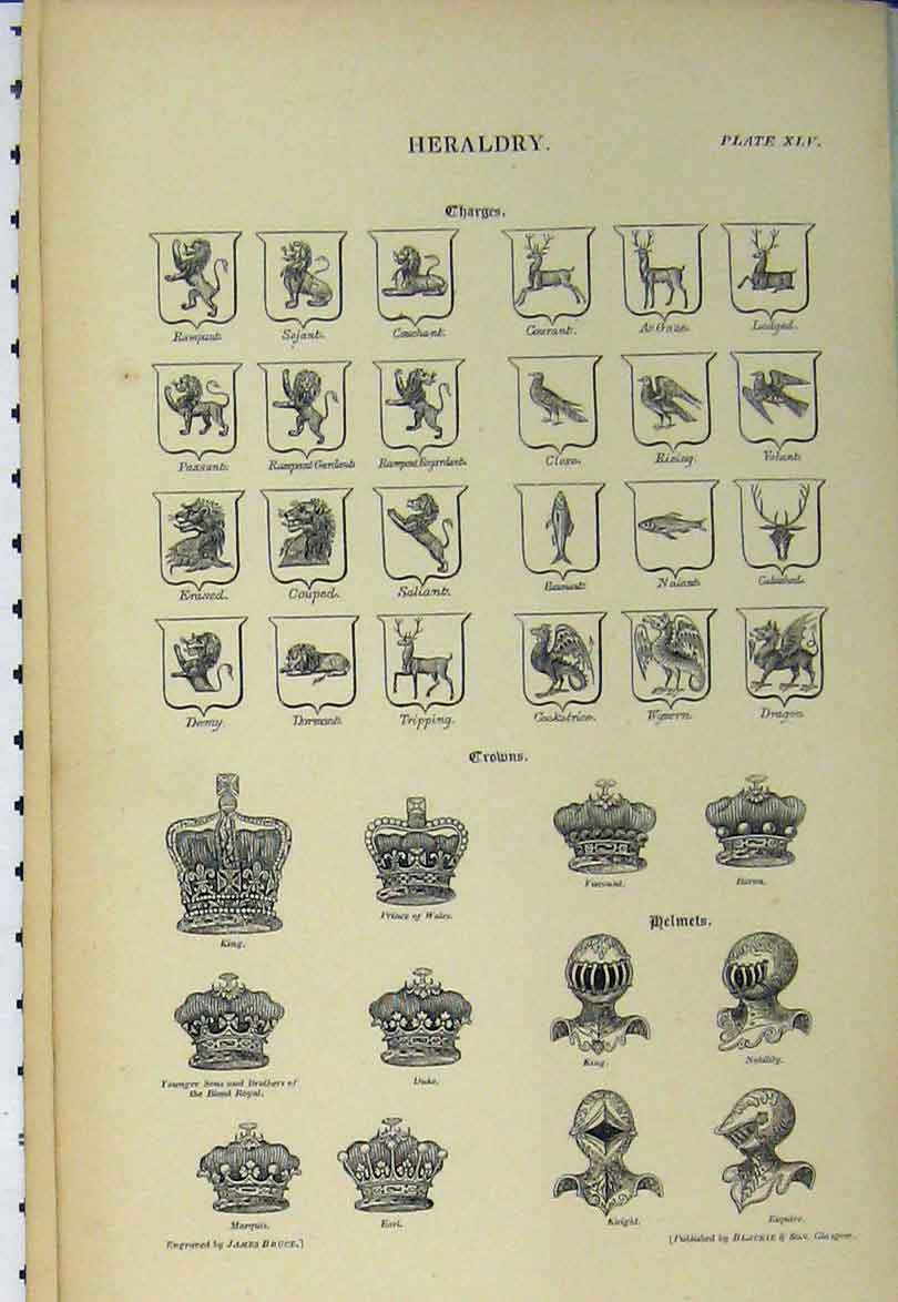 Original Old Antique Print C1890 Heraldry Crowns Animals Helmets Shapes 19th