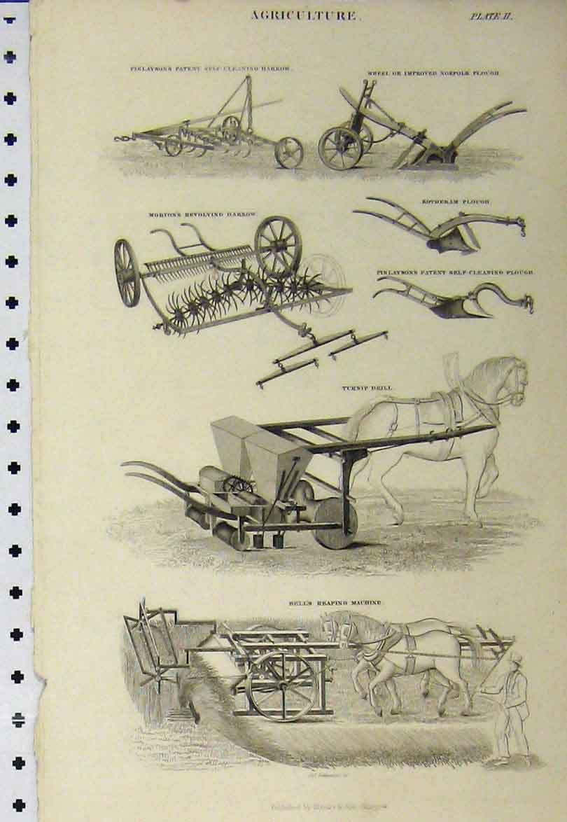 Old Antique Print C1890 Agricultural Harrow Lpough Turnip Drill Reaping 19th