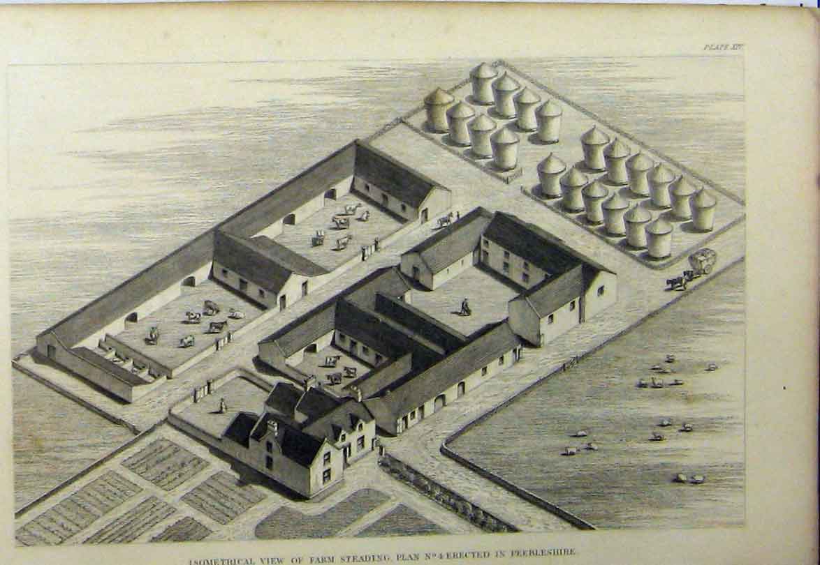 Original Old Antique Print C1890 Isometrical View Farm Steading Peebleshire