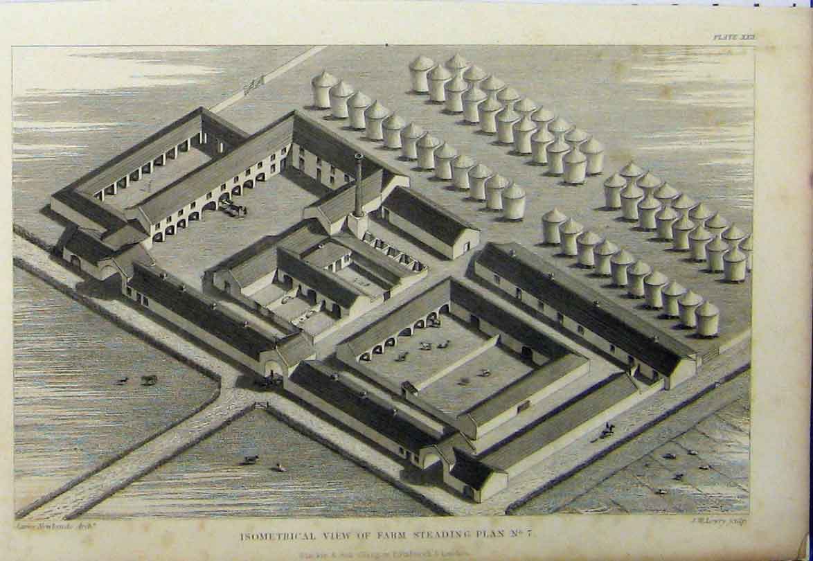 Original Old Antique Print C1890 Isometrical View Farm Steading Plan Buildings