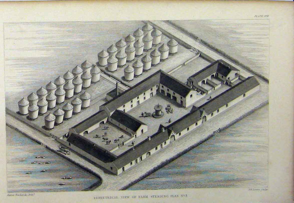 Old Antique Print C1890 Isometrical View Farm Steading Buildings Hay Cow 19th