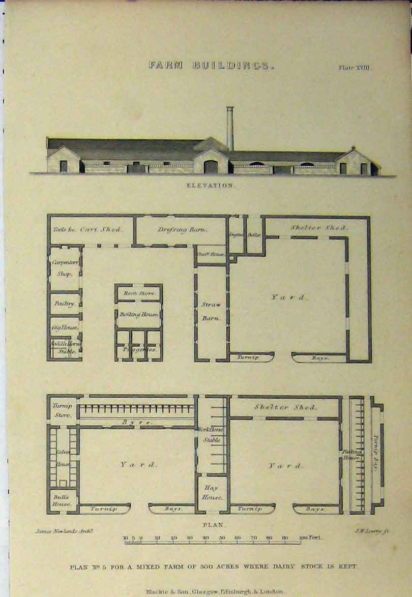 Original Old Antique Print Farm Buildings Elevation Dairy C1890 Plan Yard Shed