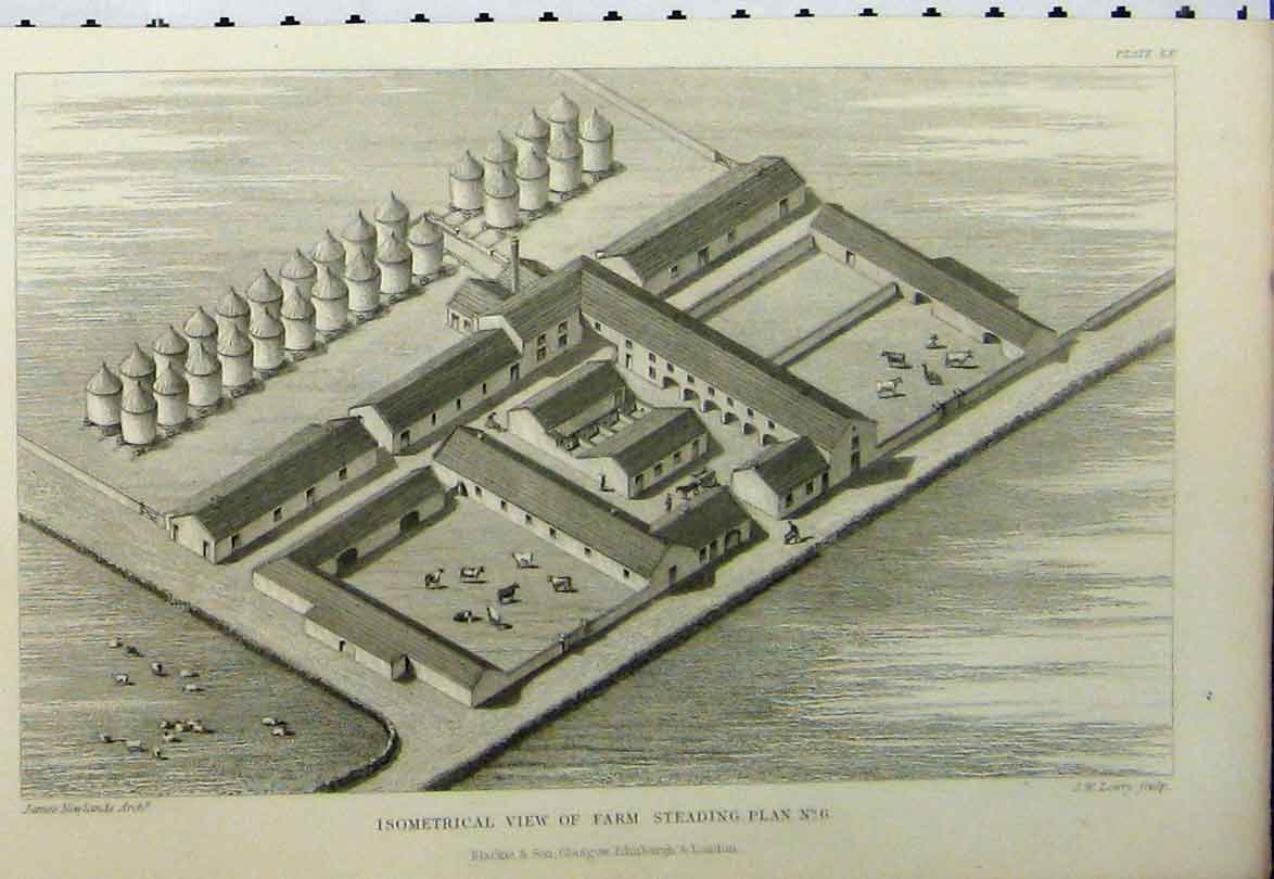 Old Antique Print C1890 Isometrical View Farm Steadings Plan Agricultural 19th