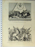 Original Old Antique Print Crowns Mitres Maces Receipt Plate March Finchley