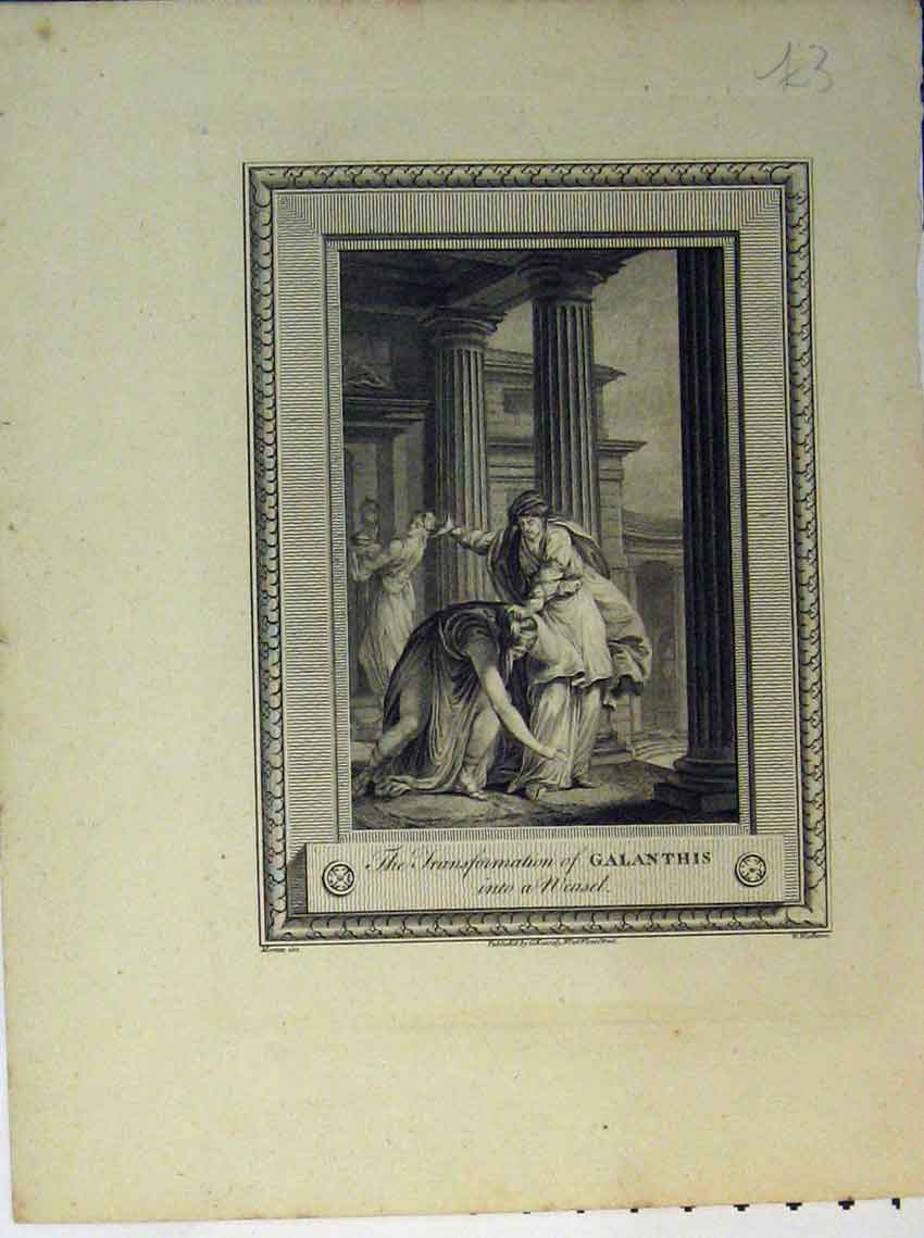Original Old Antique Print Scene Transformation Galanthis Weasel Engraving