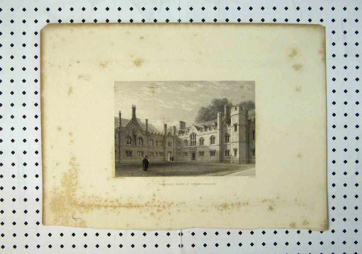 Original Old Antique Print View Gisborne Court St Peters College C1864 19th