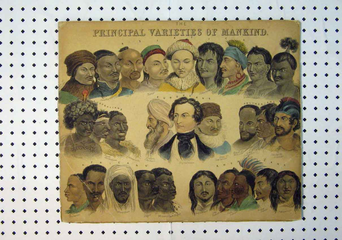 Original Old Antique Print C1864 Colour Principal Varieties Mankind Portraits