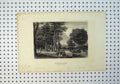Old Antique Print C1864 View Die Brigittenau Prater Bei Wien Country Tree 19th