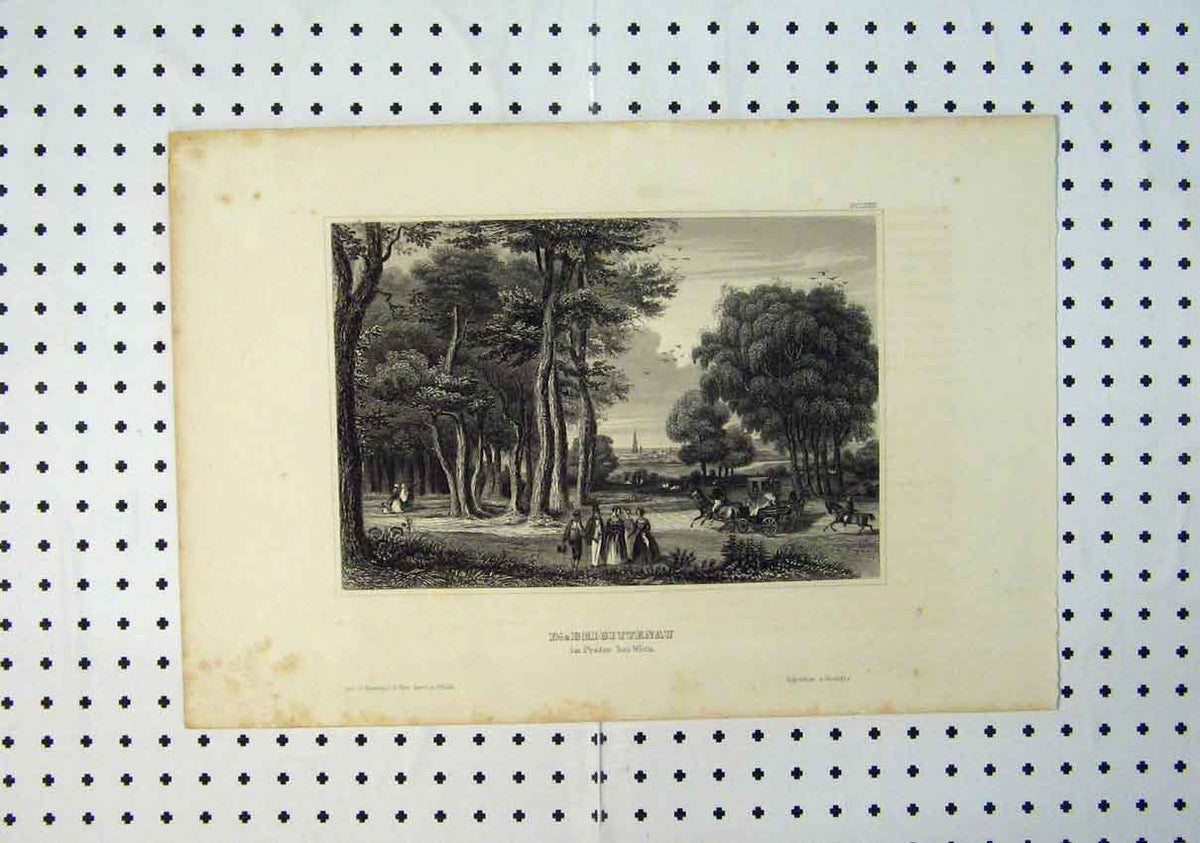 Old Antique Print C1864 View Die Brigittenau Prater Bei Wien Country Tree 19th