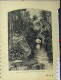 Original Old Antique Print C1850 Scene Tributary River Amazon Brazil Country