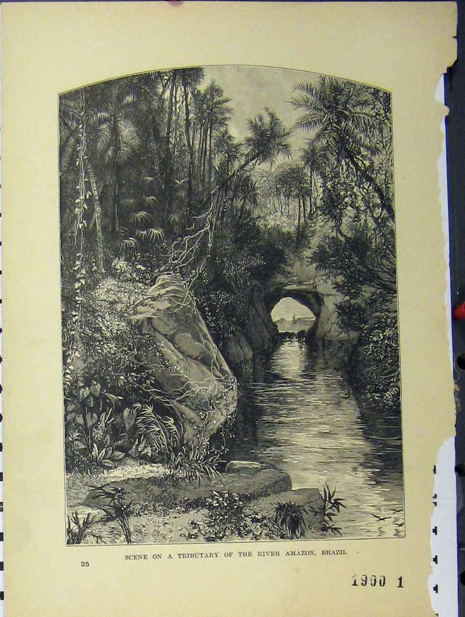 Original Old Antique Print C1850 Scene Tributary River Amazon Brazil Country