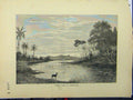 Original Old Antique Print C1850 River Scene Venezuela Derr Birds Country 19th