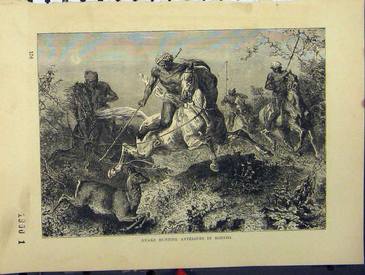 Original Old Antique Print C1850 Dyaks Hunting Antelopes Borneo Horse Spear