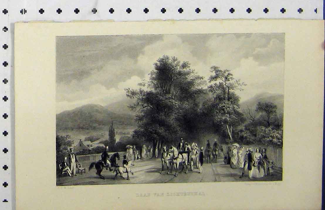 Original Old Antique Print C1850 Laan Van Lichtenthal Country Lane Horse Coach
