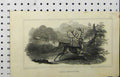 Original Old Antique Print 1817 Deer Shooting Stag Man Gun Country Engraving