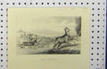 Original Old Antique Print 1860 Stag Hunting Men Horses Dogs Chasing Country
