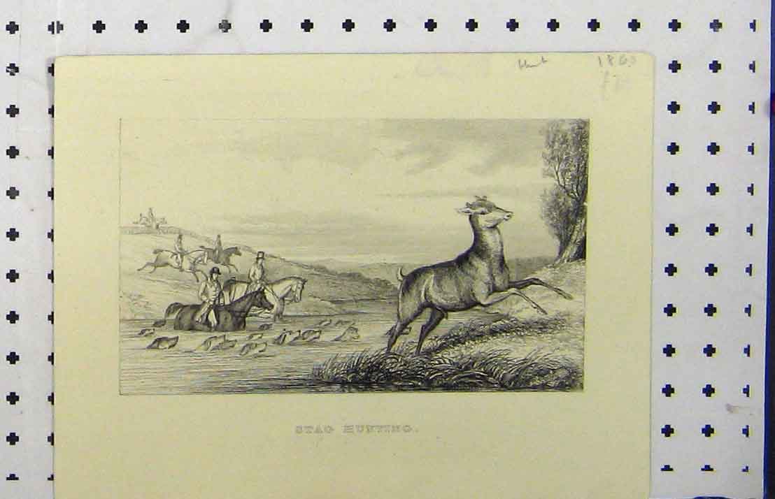 Original Old Antique Print 1860 Stag Hunting Men Horses Dogs Chasing Country