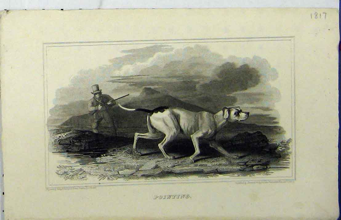 Original Old Antique Print 1817 Man Hunting Gun Dog Pointer Mountain Scene 19th