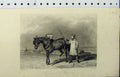 Old Antique Print 1847 Cart Horse Man Whip Country Scene Engraving Hacker 19th