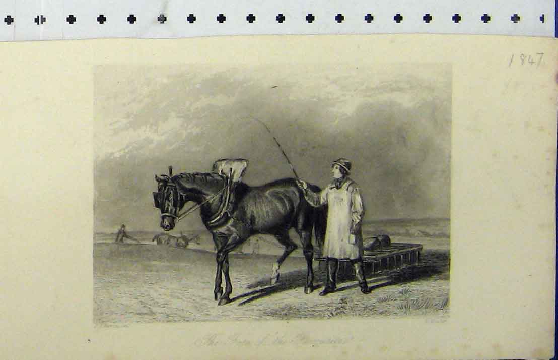 Old Antique Print 1847 Cart Horse Man Whip Country Scene Engraving Hacker 19th