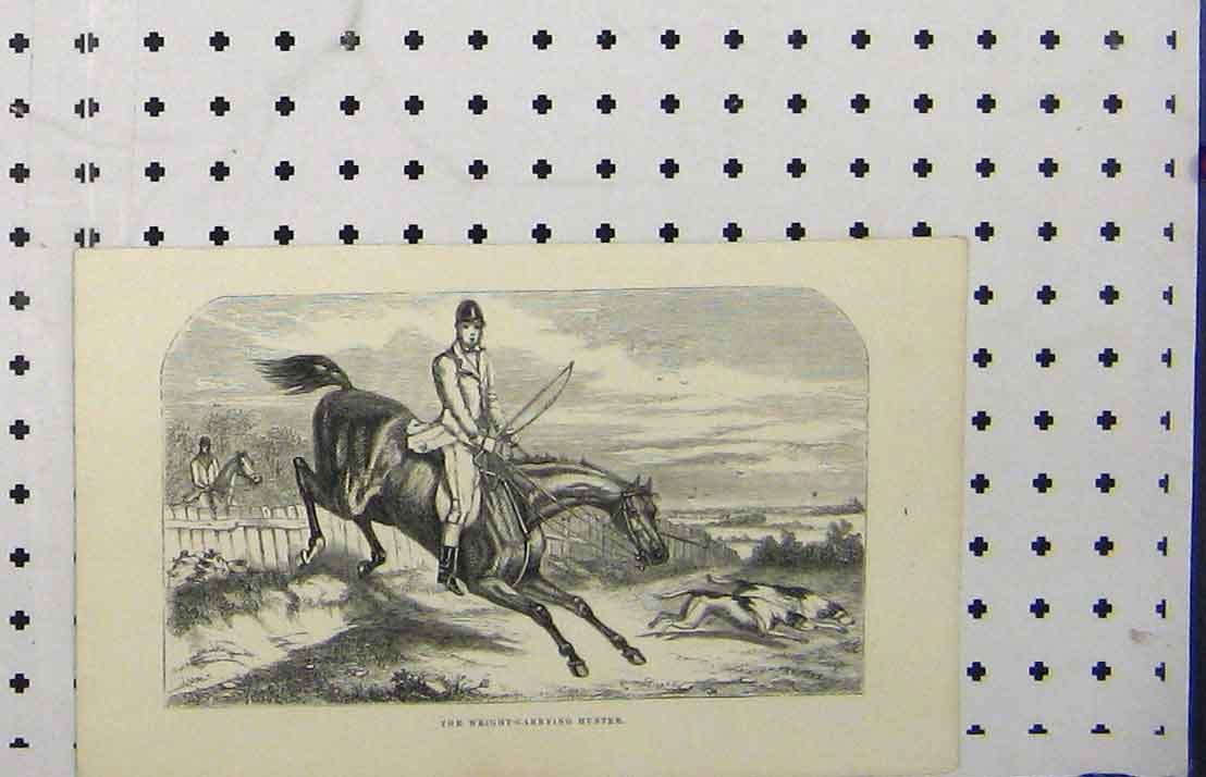 Original Old Antique Print Hunter Horse C1850 Man Jumping Fence Dogs Country