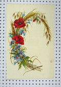 Original Old Antique Print C1850 Colour Flowers Red Blue Straw 19th