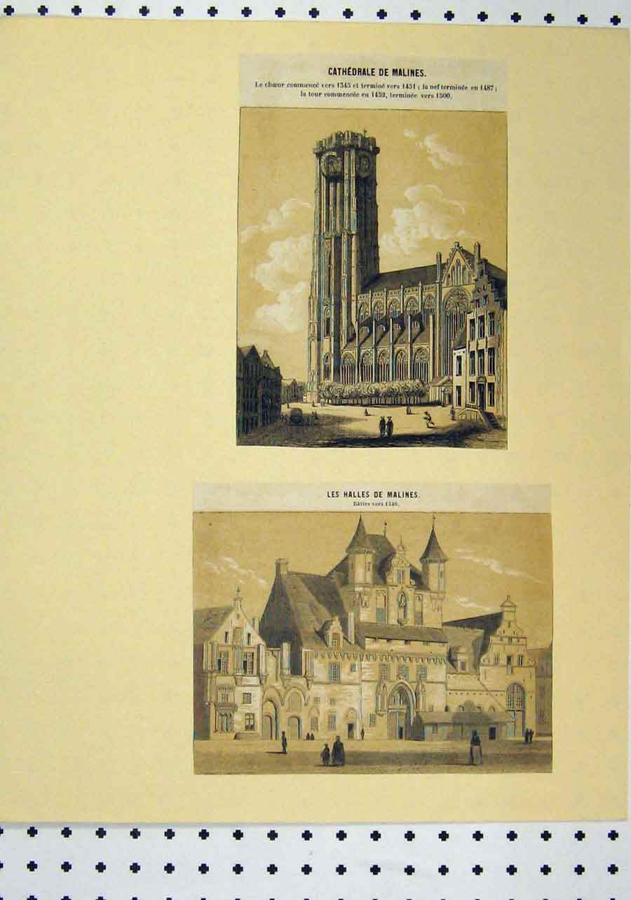 Original Old Antique Print C1850 Sepia Cathedral Hall Buildings 19th