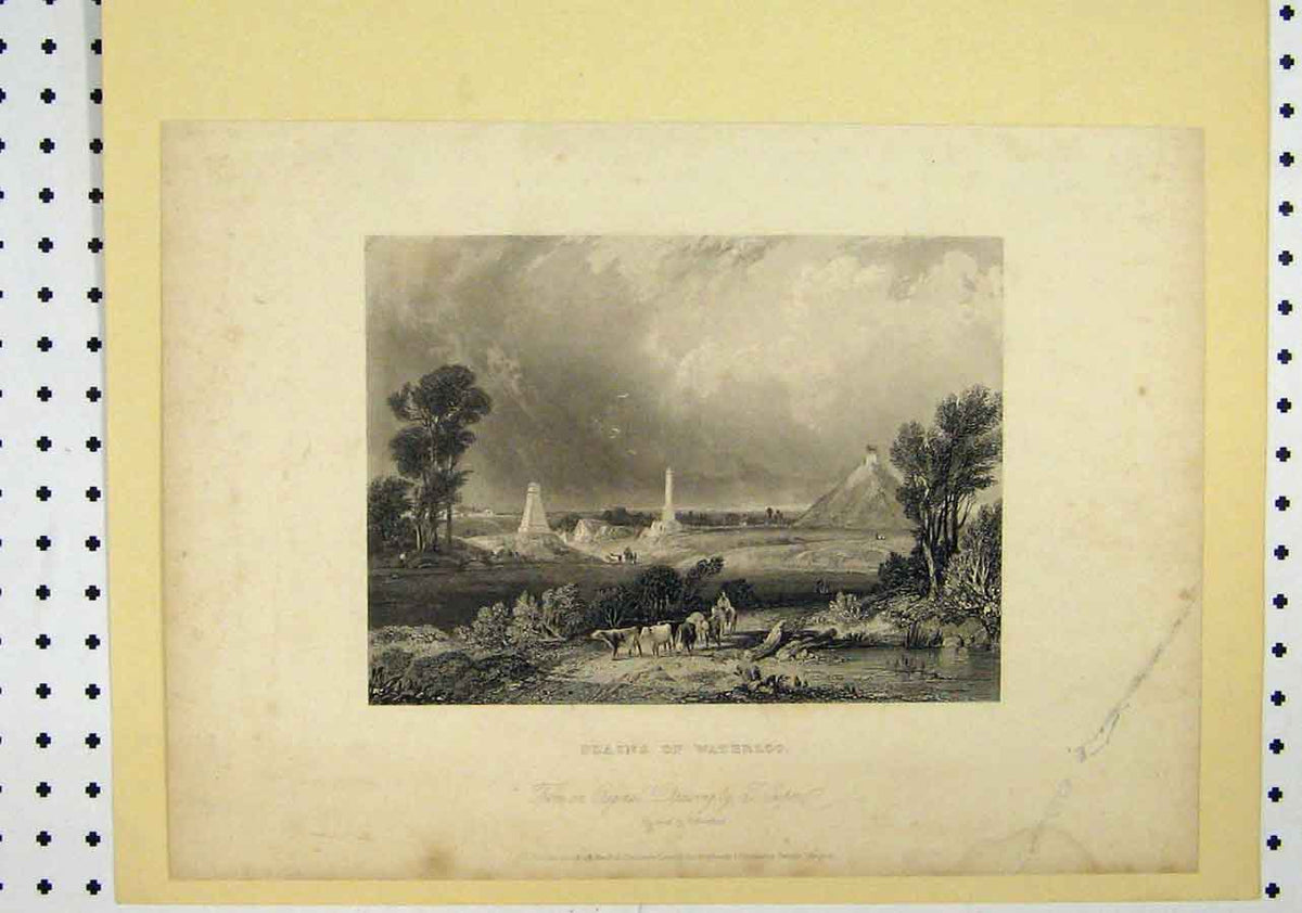 Original Old Antique Print C1850 View Plains Waterloo Cows Trees Country Scene