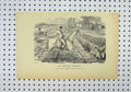 Original Old Antique Print C1850 Jockey Horse Fence Jumping Man Ditch Country