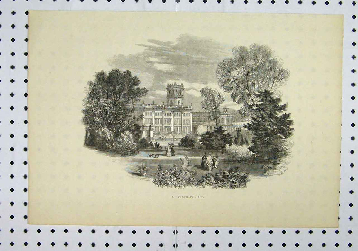 Old Antique Print View Trentham Hall Country Scene Building Garden Tree